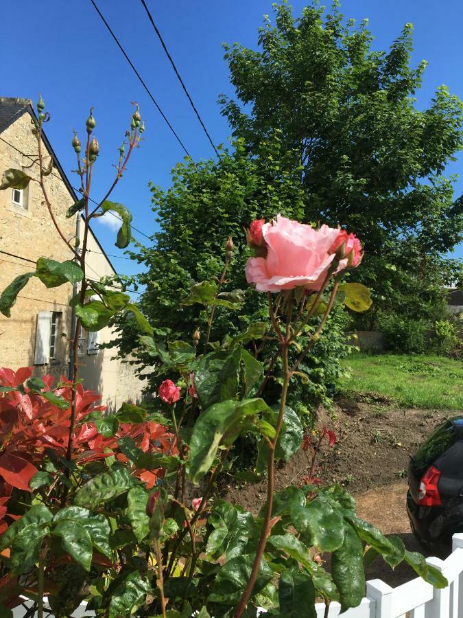 La Pomme De Nuit Panzió Bayeux Kültér fotó